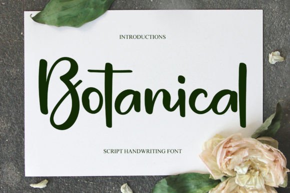 Download Botanical - Premium Resources